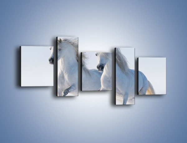Obraz na płótnie – Gonitwa konna w bieli – pięcioczęściowy Z240W7