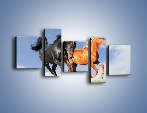 Obraz na płótnie – Czarny rudy i koń – pięcioczęściowy Z241W7