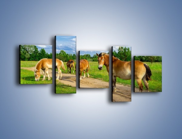 Obraz na płótnie – Konie z gospodarstwa – pięcioczęściowy Z242W7