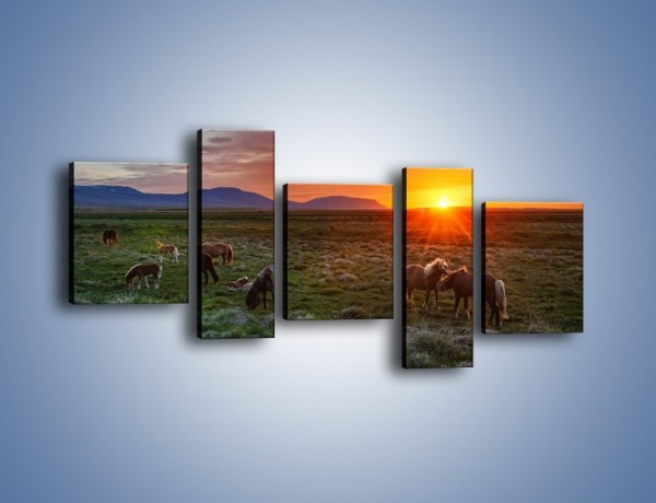 Obraz na płótnie – Konne stado o zachodzie słońca – pięcioczęściowy Z249W7