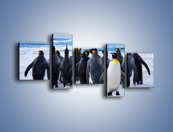 Obraz na płótnie – Narada pingwiniej rodziny – pięcioczęściowy Z272W7