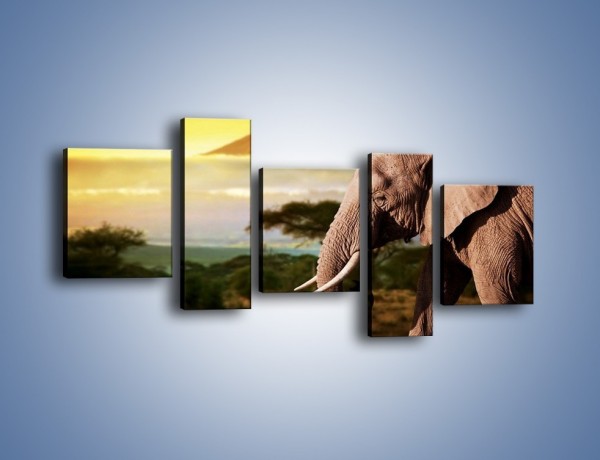 Obraz na płótnie – Smutek w oczach słonia – pięcioczęściowy Z275W7