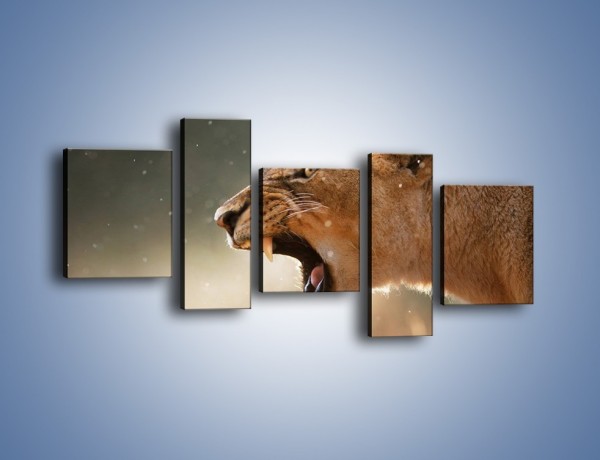 Obraz na płótnie – Ostrzeżenie lwiej samicy – pięcioczęściowy Z299W7