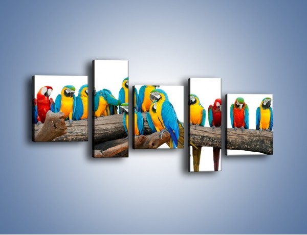 Obraz na płótnie – Kolorowe stado papug – pięcioczęściowy Z326W7