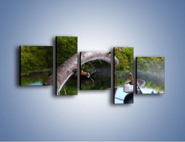 Obraz na płótnie – Skoki mrówek do wody – pięcioczęściowy Z332W7