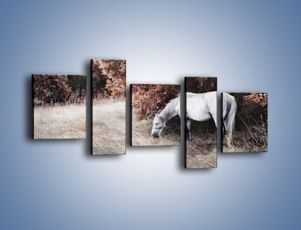Obraz na płótnie – Wiejski pejzaż z koniem – pięcioczęściowy Z344W7