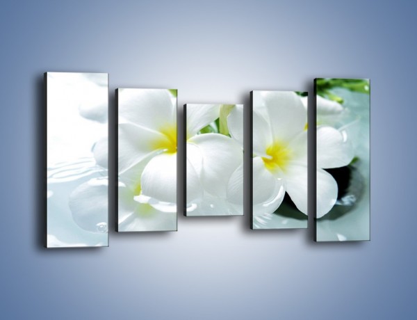 Obraz na płótnie – Białe kwiaty w potoku – pięcioczęściowy K991W2