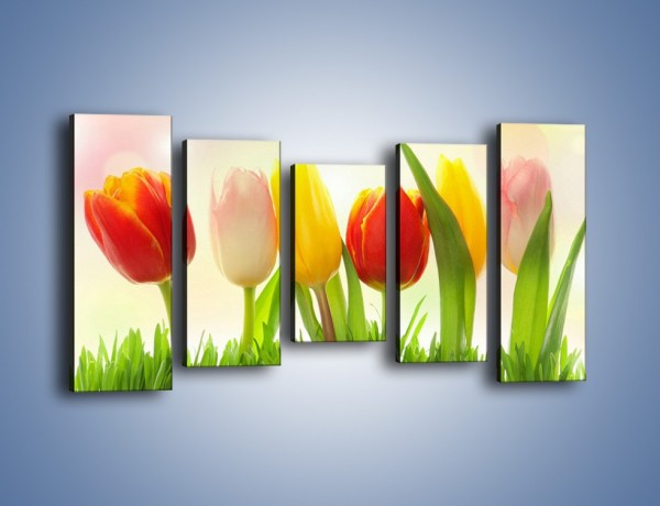 Obraz na płótnie – Sześć małych tulipanków – pięcioczęściowy K996W2