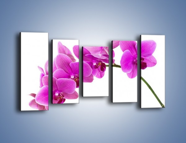 Obraz na płótnie – Kwiaty w lewą stronę – pięcioczęściowy K853W2