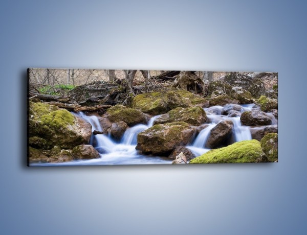 Obraz na płótnie – Rwący potok w chłodny dzień – jednoczęściowy panoramiczny KN676