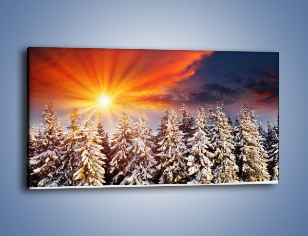 Obraz na płótnie – Choinki w środku zimy – jednoczęściowy panoramiczny KN682