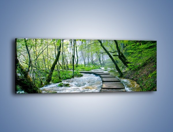 Obraz na płótnie – Drewniana kładką przez potok – jednoczęściowy panoramiczny KN720