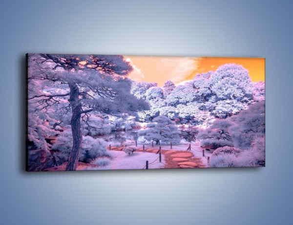 Obraz na płótnie – Oszroniony leśny krajobraz – jednoczęściowy panoramiczny KN722
