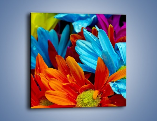 Obraz na płótnie – Kolorowo i kwiatowo – jednoczęściowy kwadratowy K375