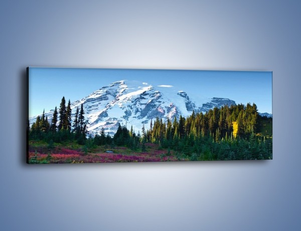 Obraz na płótnie – Lawenda góry i śnieg – jednoczęściowy panoramiczny KN733