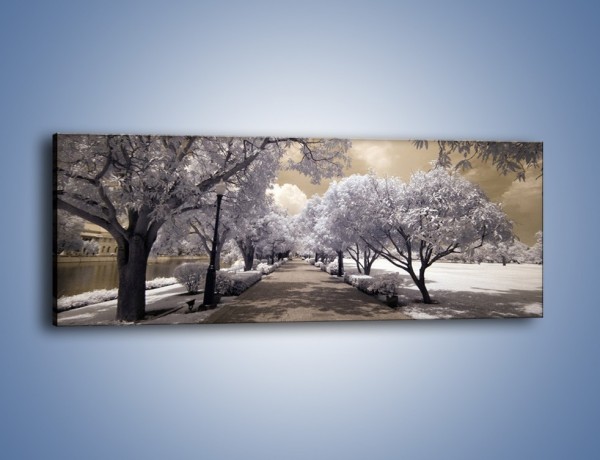 Obraz na płótnie – Parkowa aleja w sepii – jednoczęściowy panoramiczny KN734