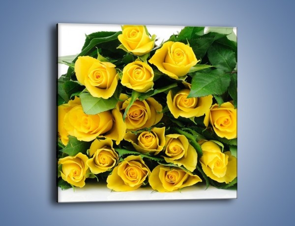 Obraz na płótnie – Wiosenny uśmiech w różach – jednoczęściowy kwadratowy K379