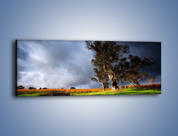 Obraz na płótnie – Burzowe chmury nad polaną – jednoczęściowy panoramiczny KN748