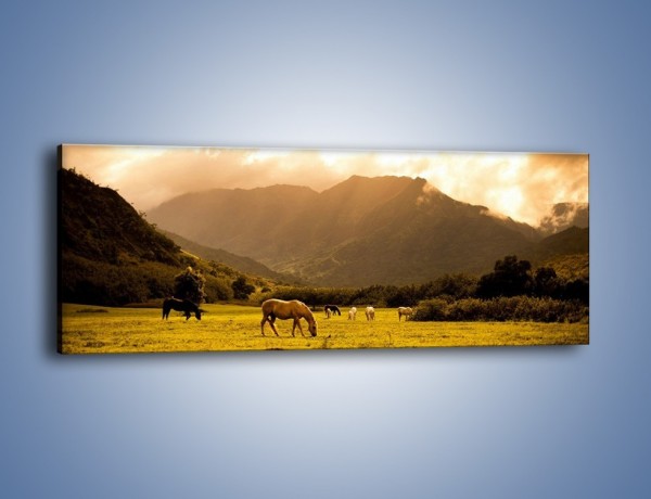 Obraz na płótnie – Konne stado na polanie – jednoczęściowy panoramiczny KN760