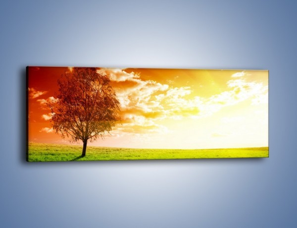 Obraz na płótnie – Drzewo z lewej strony – jednoczęściowy panoramiczny KN766