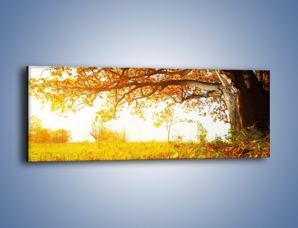 Obraz na płótnie – Odpoczynek w cieniu drzewa – jednoczęściowy panoramiczny KN774