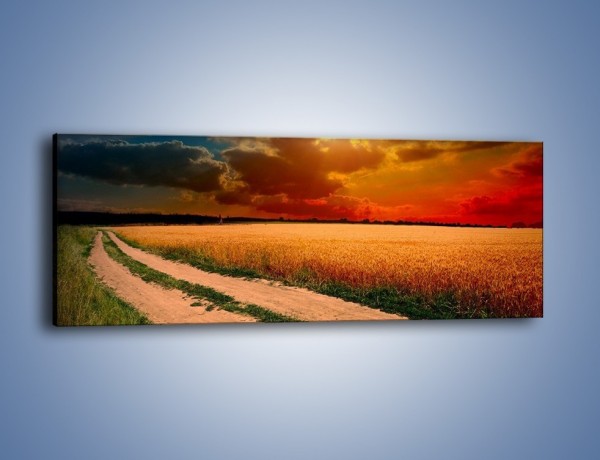 Obraz na płótnie – Zbożowa polana i jej cały urok – jednoczęściowy panoramiczny KN776