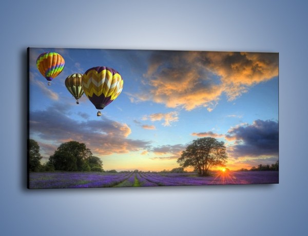 Obraz na płótnie – Lot balonem nad lawendą – jednoczęściowy panoramiczny KN779