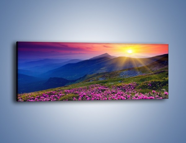 Obraz na płótnie – Spojrzenie na góry i łąkę – jednoczęściowy panoramiczny KN793