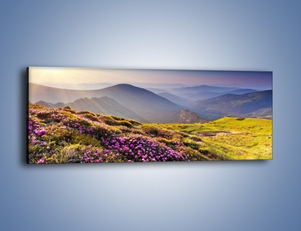 Obraz na płótnie – Górka z malutkimi kwiatuszkami – jednoczęściowy panoramiczny KN795