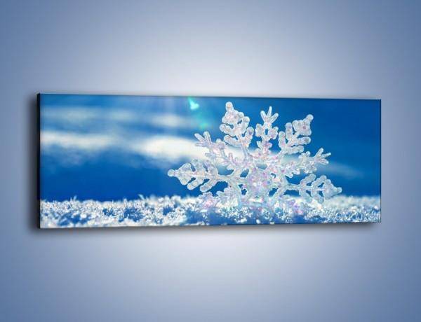 Obraz na płótnie – Diamentowa śnieżynka – jednoczęściowy panoramiczny KN808