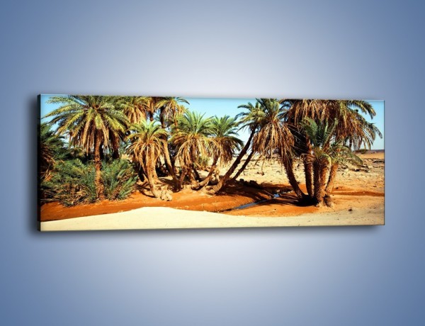 Obraz na płótnie – Palmowa rodzina w komplecie – jednoczęściowy panoramiczny KN809