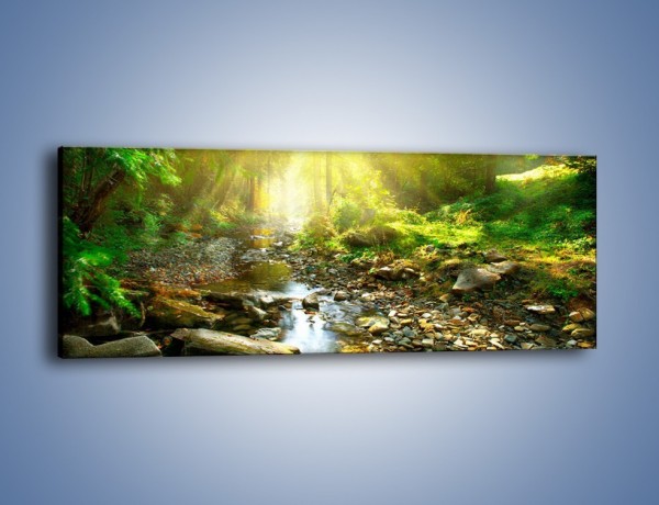 Obraz na płótnie – Kamiennym urwiskiem wśród potoku – jednoczęściowy panoramiczny KN827