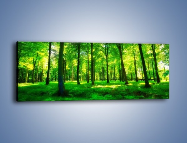 Obraz na płótnie – Dywan z zielonych paproci – jednoczęściowy panoramiczny KN850