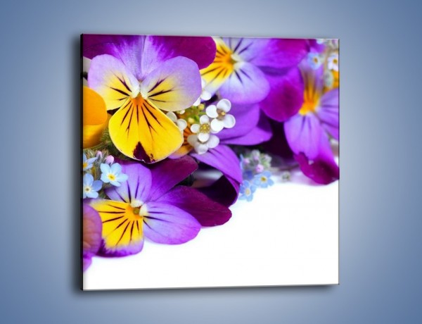 Obraz na płótnie – Ciepłe kolory w kwiatach – jednoczęściowy kwadratowy K442