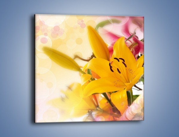 Obraz na płótnie – Pospolita lilia – jednoczęściowy kwadratowy K454