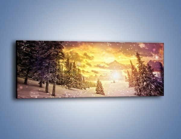 Obraz na płótnie – Śnieżna kraina – jednoczęściowy panoramiczny KN868