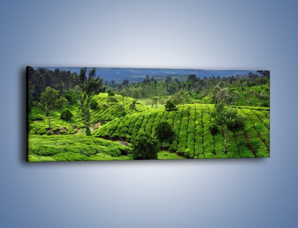 Obraz na płótnie – Rozległa zielona kraina – jednoczęściowy panoramiczny KN872