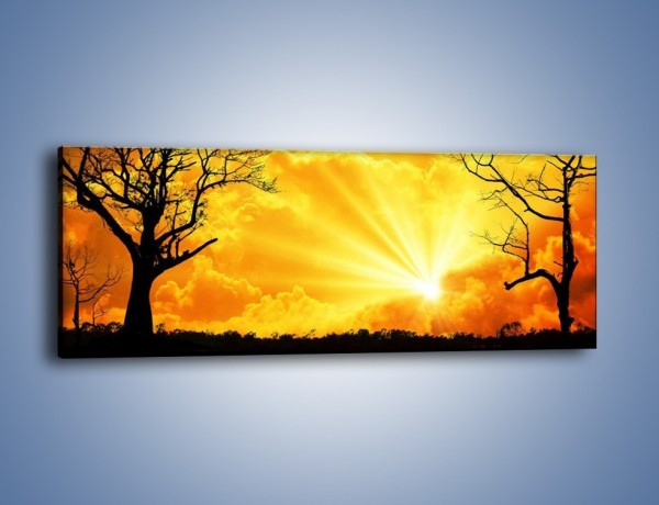 Obraz na płótnie – Potęga słońca i czarny charakter – jednoczęściowy panoramiczny KN873