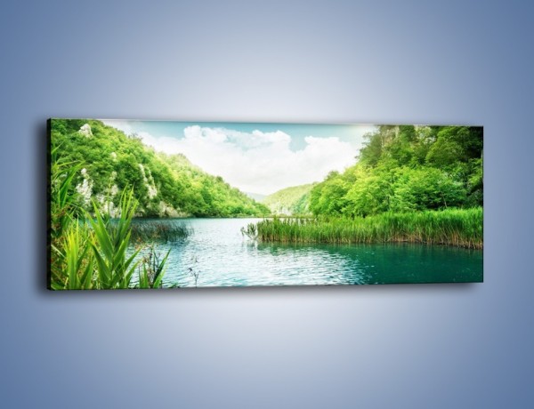 Obraz na płótnie – Wodnym śladem wśród zieleni – jednoczęściowy panoramiczny KN884
