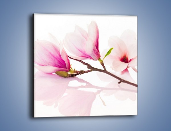 Obraz na płótnie – Lekkość w kwiatach wiśni – jednoczęściowy kwadratowy K485