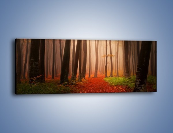 Obraz na płótnie – Las pełen tajemnic – jednoczęściowy panoramiczny KN909