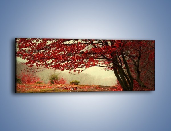 Obraz na płótnie – Spadające liście z drzew – jednoczęściowy panoramiczny KN910