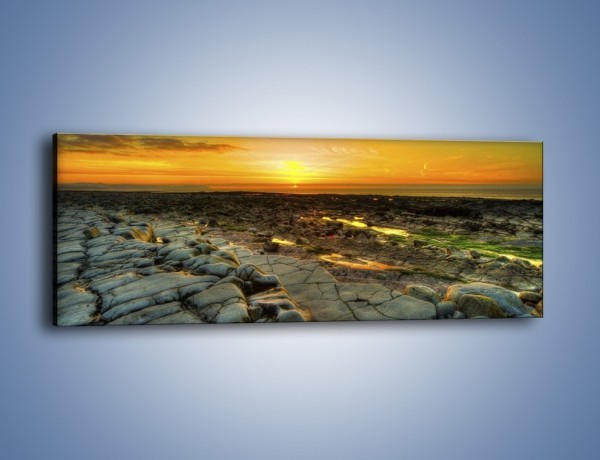 Obraz na płótnie – Ziemia wśród kamieni – jednoczęściowy panoramiczny KN919