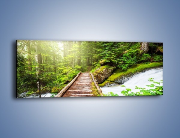Obraz na płótnie – Bezpieczna droga przez las – jednoczęściowy panoramiczny KN922