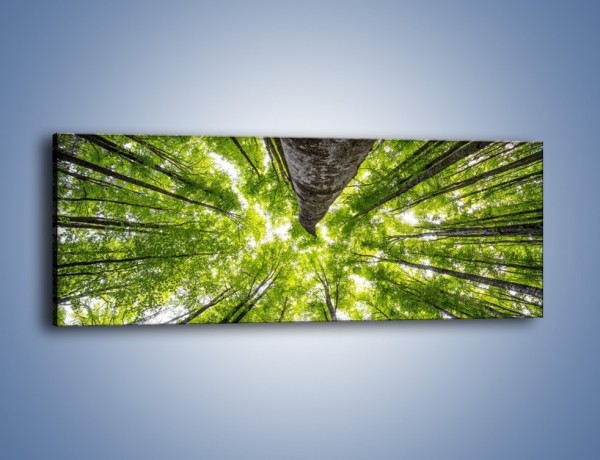 Obraz na płótnie – Świat widziany zielenią – jednoczęściowy panoramiczny KN931