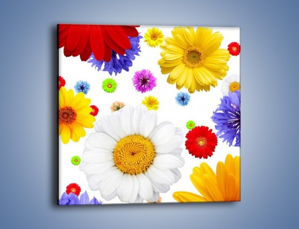 Obraz na płótnie – Wakacyjne kolory w kwiatach – jednoczęściowy kwadratowy K507