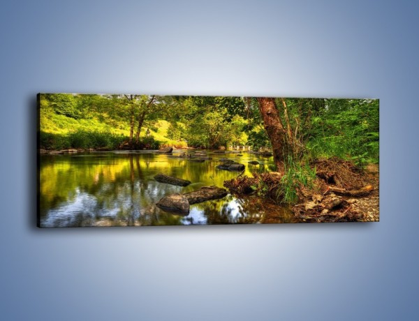Obraz na płótnie – Tęsknota w wodnym odbiciu – jednoczęściowy panoramiczny KN936