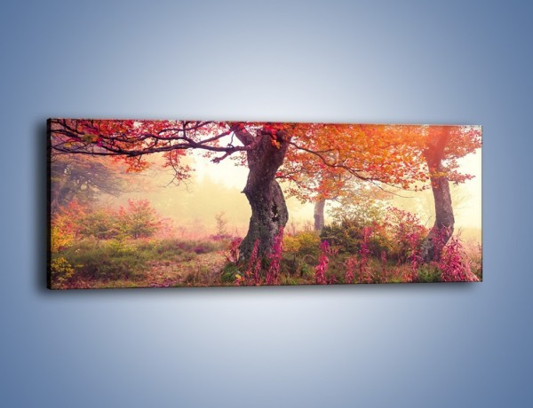 Obraz na płótnie – Kolory na drzewach i na ziemi – jednoczęściowy panoramiczny KN941