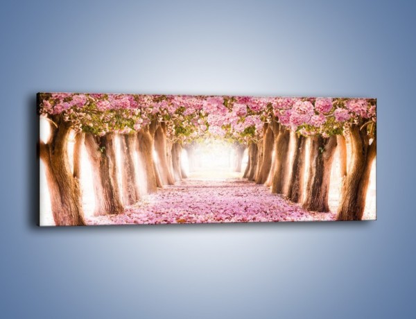 Obraz na płótnie – Spacer zakochanych po kwiatach – jednoczęściowy panoramiczny KN947