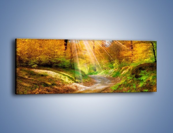 Obraz na płótnie – Wędrówka po lesie – jednoczęściowy panoramiczny KN949
